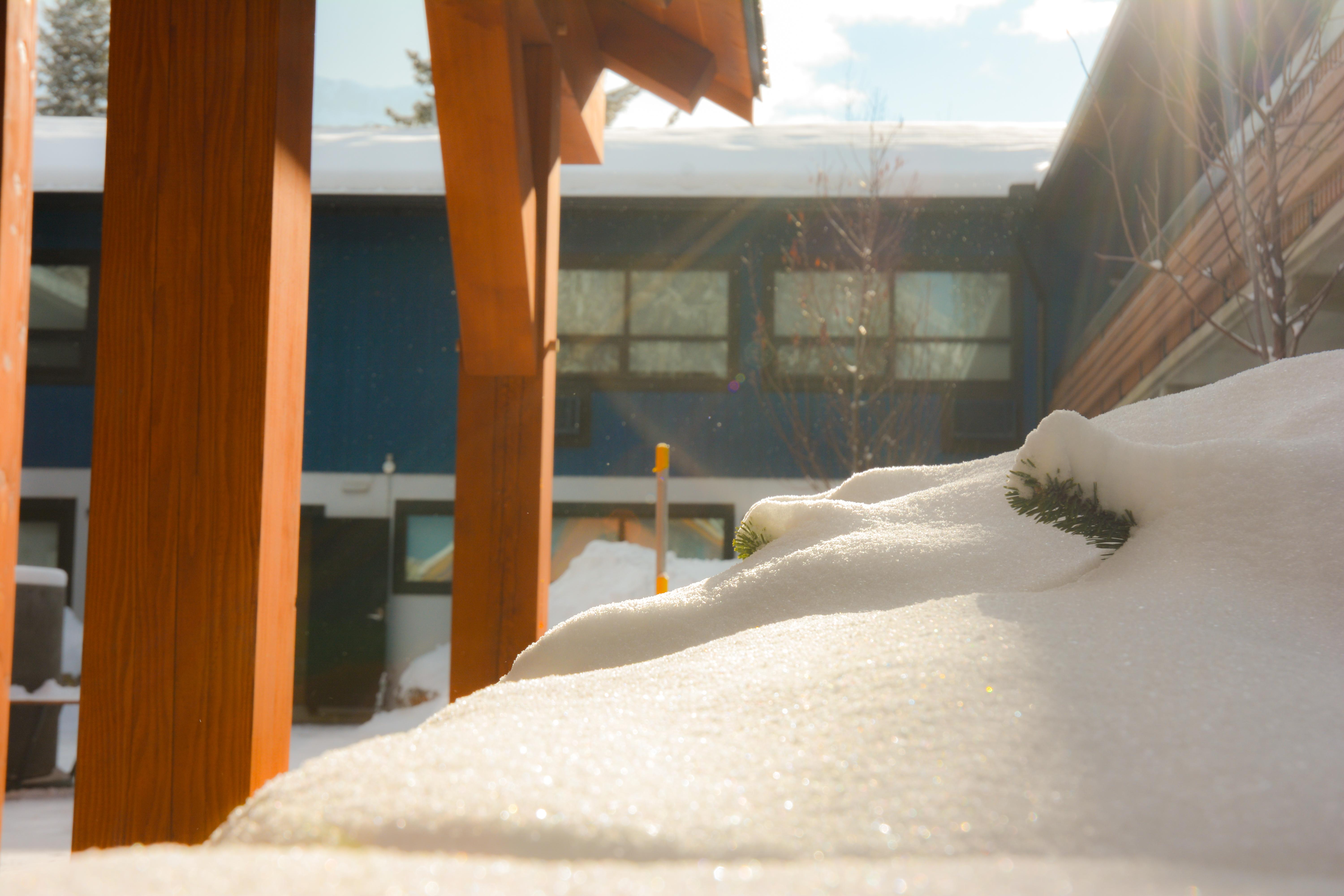 The Dorothy Motel Banff Esterno foto